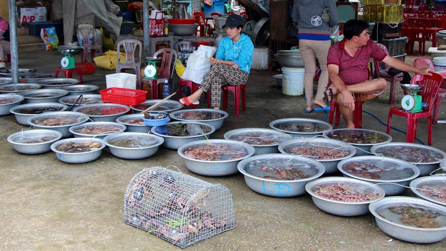 Cộng[-]đồng[-]tham[-]gia[-]phục[-]hồi[-]tự[-]nhiên[-]và[-]khai[-]thác[-]bền[-]vững[-]Cua[-]Đá[-]Cù[-]Lao[-]Chàm